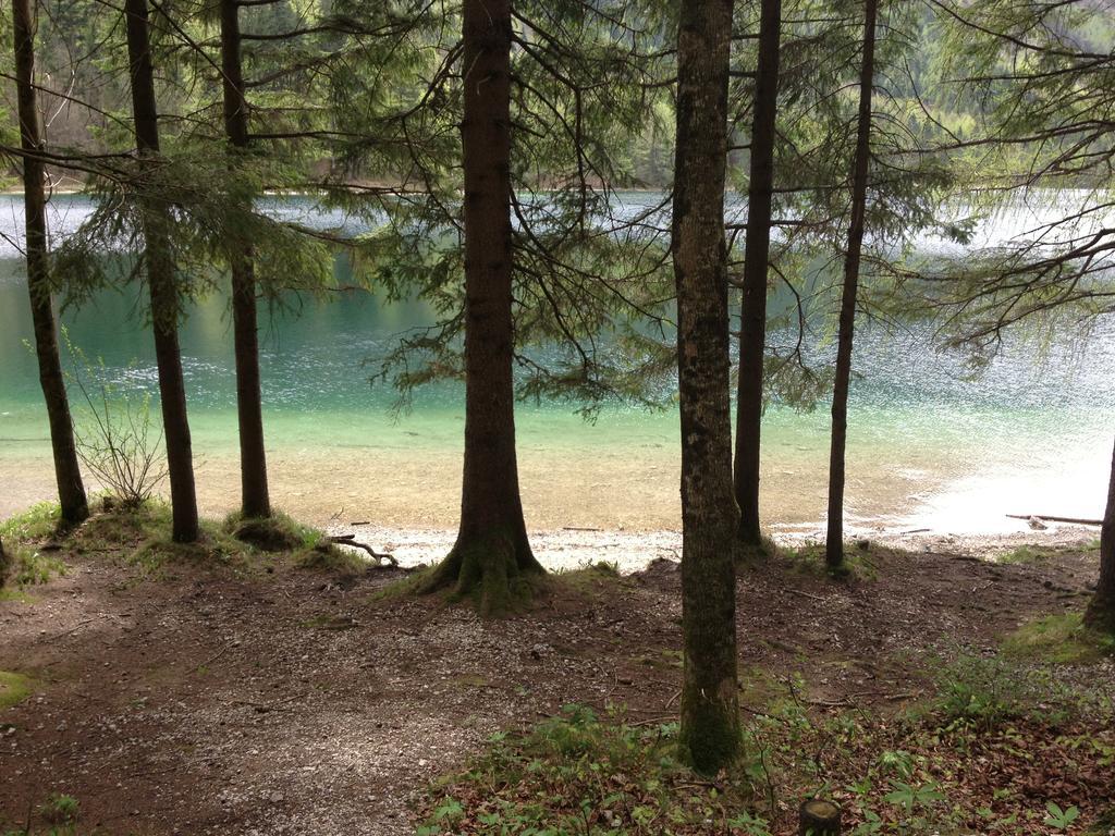 See 31, Ferienlofts Am Traunsee Apartment Traunkirchen Bilik gambar